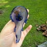 Small image 4