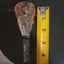 Small image 6