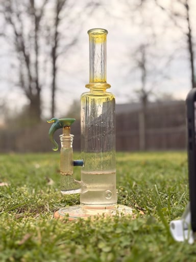 Preview pic of Yougoboro kingstem!