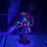 Small image 5