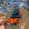 Small image 2