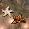 Small image 5