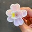 Small image 7