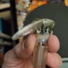 Small image 4