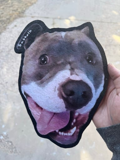 Preview pic of Custom made pet moodmat