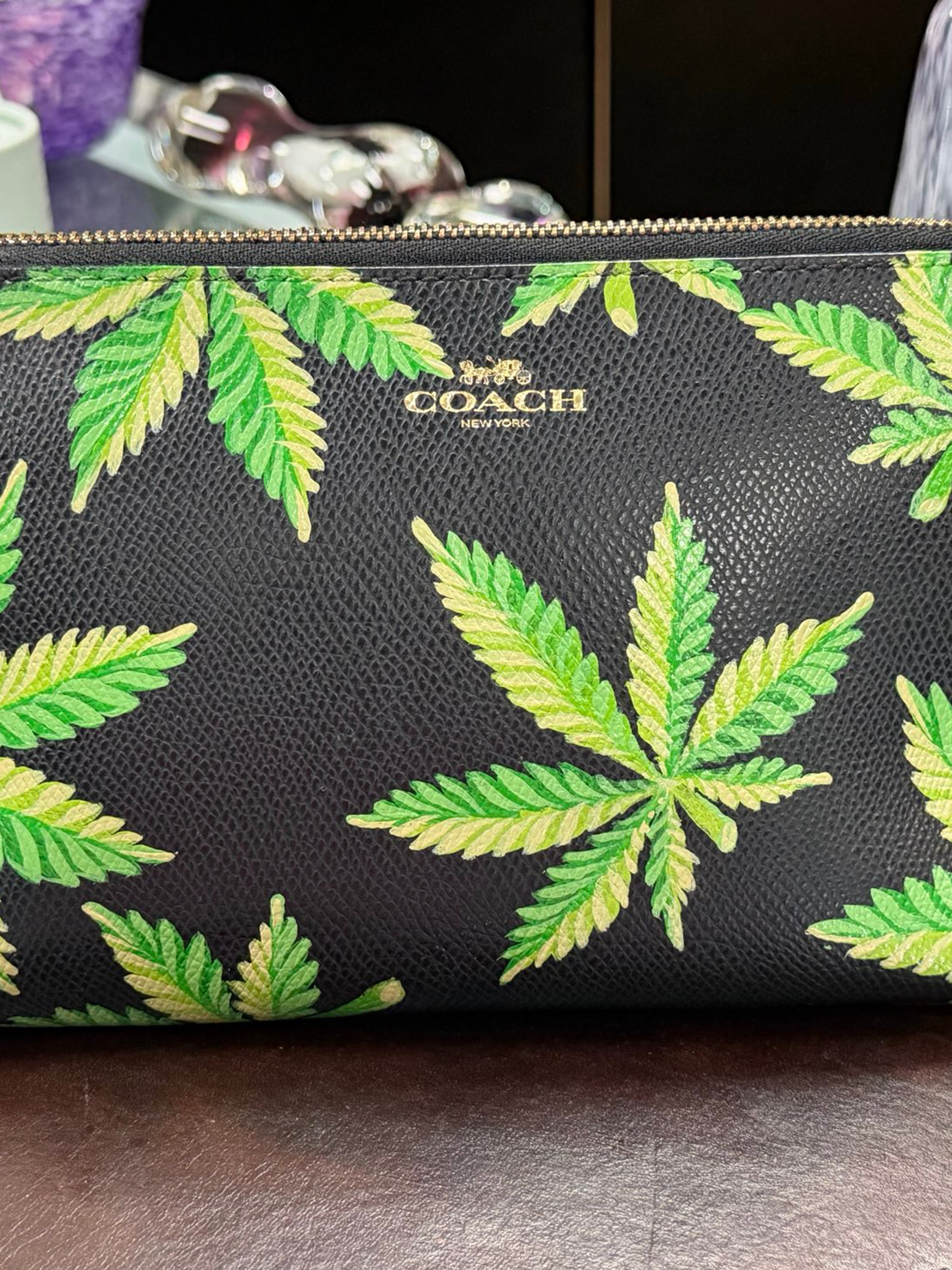 Preview pic of Coach Bag painted by Orfin Art