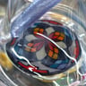 Small image 4