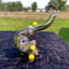 Small image 6