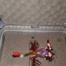 Small image 5