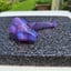 Small image 9