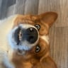Small image 0