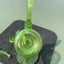 Small image 6