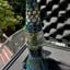Small image 5