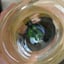 Small image 7