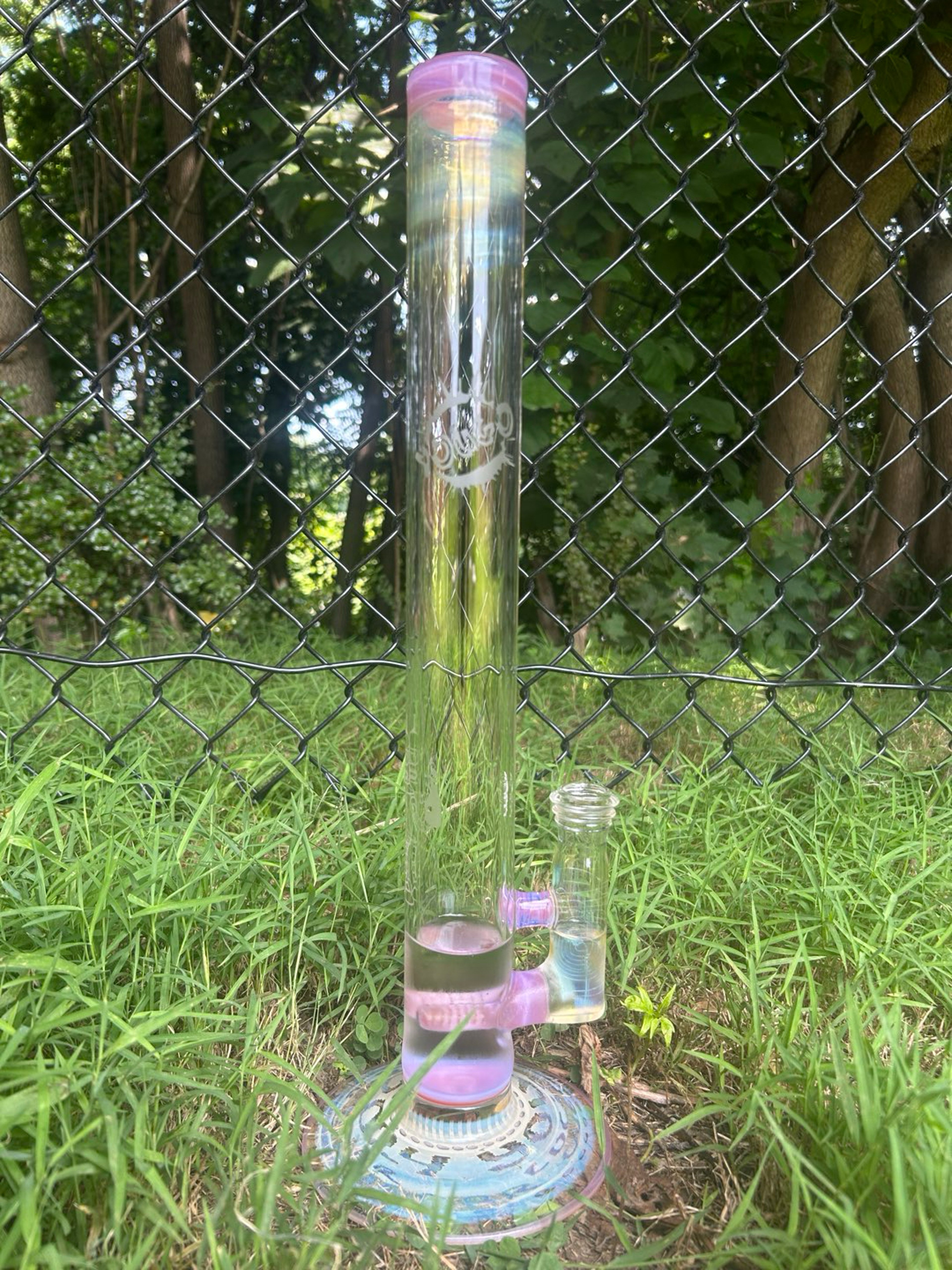 Pink cfl Fa yougo image 0