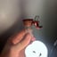 Small image 5