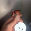 Small image 6