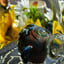 Small image 7
