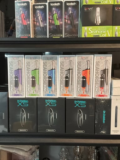 Preview pic of 6 Pack Seahorse Kings 50% OFF
