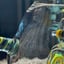 Small image 5