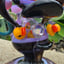 Small image 8