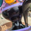 Small image 5