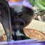 Small image 6