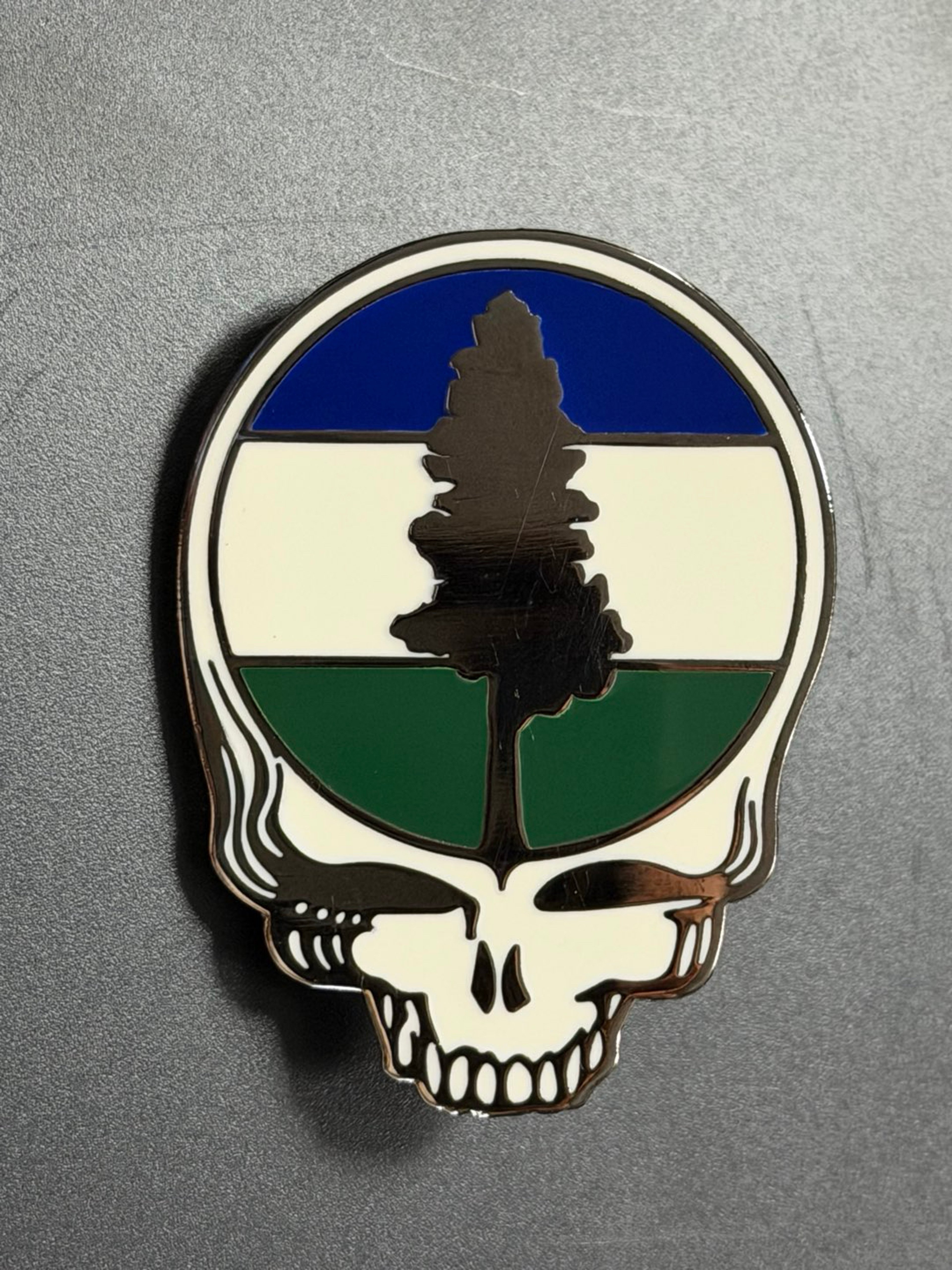 Preview pic of Heady Spaghetti pin
