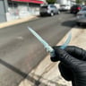 Small image 1