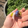 Small image 1