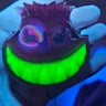 Small image 4