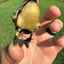 Small image 3