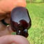 Small image 8