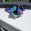 Small image 6