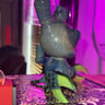 Small image 3