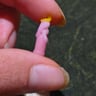 Small image 4