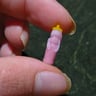 Small image 3