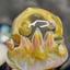 Small image 5