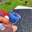 Small image 7