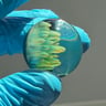 Small image 3