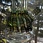 Small image 7
