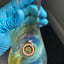 Small image 3