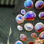 Small image 8