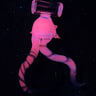 Small image 5
