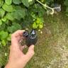Small image 3