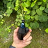 Small image 4