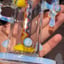 Small image 7