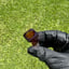 Small image 6