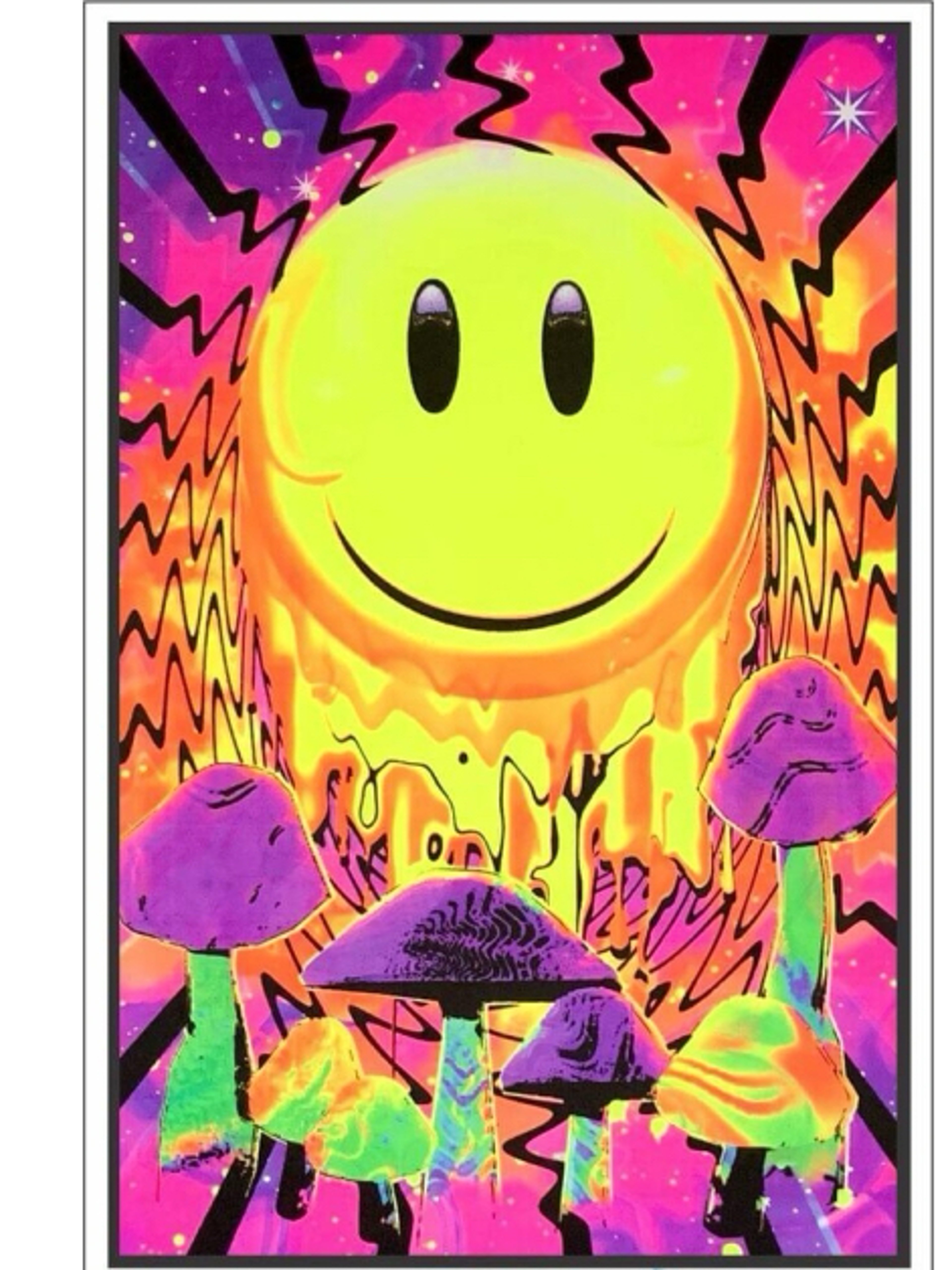 Preview pic of Have a Nice Trip Flocked Blacklight Poster – 23″ x 35″