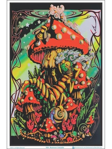 Preview pic of Mushroom Caterpillar Flocked Blacklight Poster – 23″ x 35″